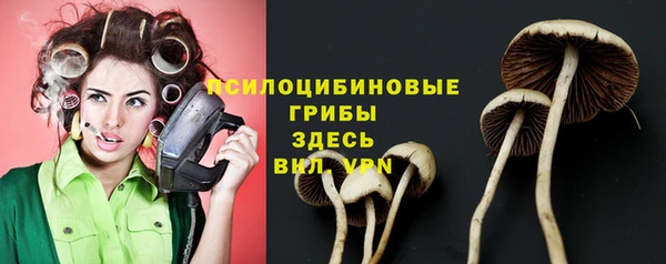 бошки Дмитриев