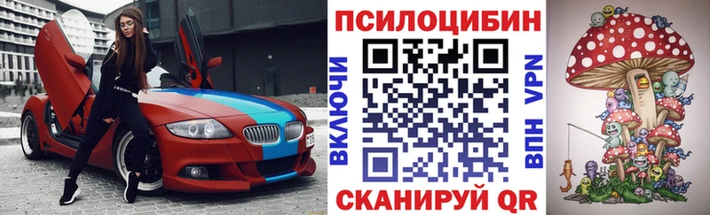 Купить закладки  Крымск  Псилоцибиновые грибы мицелий 